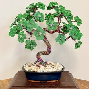 Green Bougainvillea