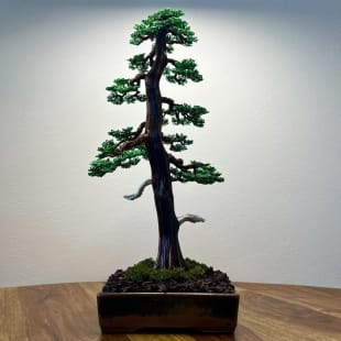 Larch II.
