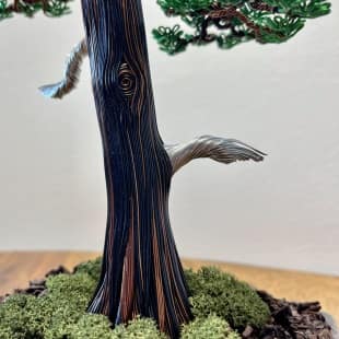 Larch II.