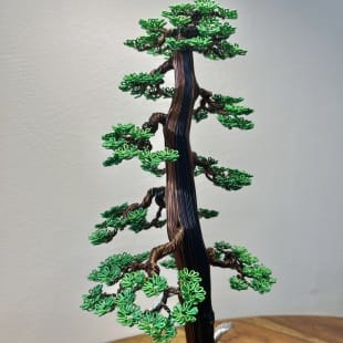 Larch II.