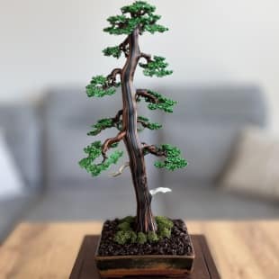 Larch II.