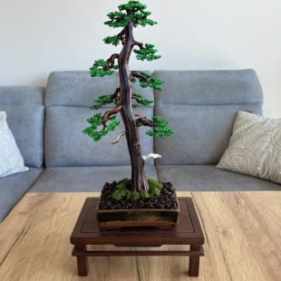 Larch II.