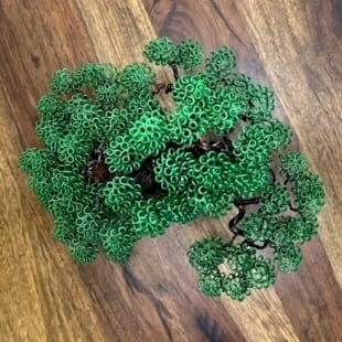 Mame Green III.
