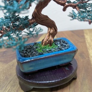Mame Pine