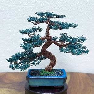Mame Pine