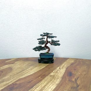 Mame Pine