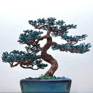 Mame Pine