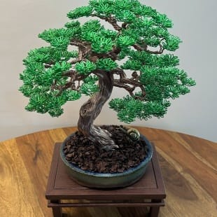 Maple III.