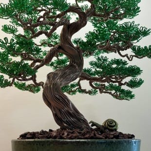 Maple III.