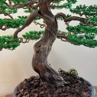 Maple III.