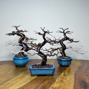 Micro Triplets