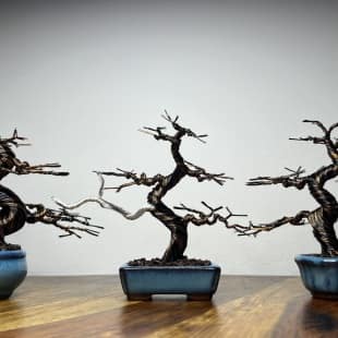 Micro Triplets