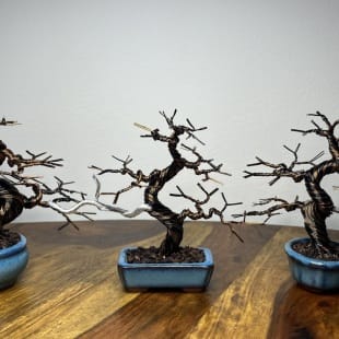 Micro Triplets