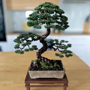 Pine II.