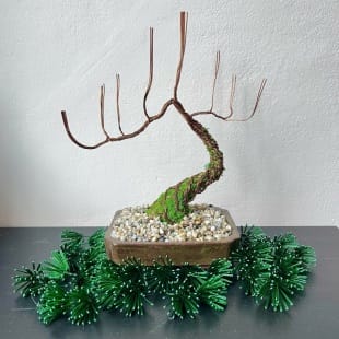 Pine Shohin III.