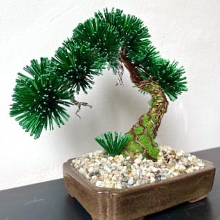 Pine Shohin III.