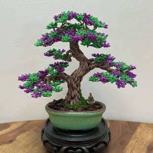 Shohin Purple Azalea