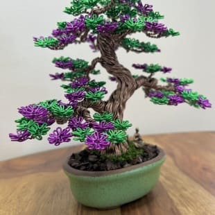 Shohin Purple Azalea