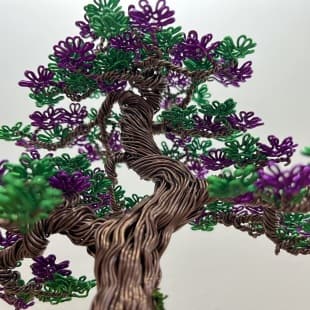 Shohin Purple Azalea
