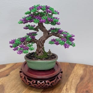 Shohin Purple Azalea