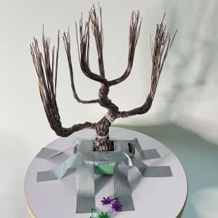 Shohin Purple Azalea