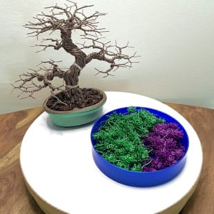 Shohin Purple Azalea