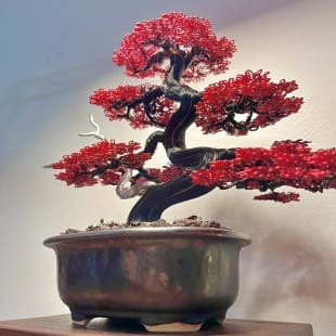 Red Maple II.