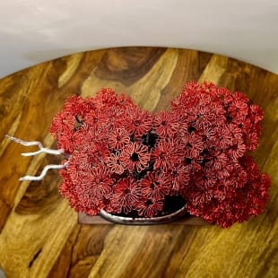 Red Maple II.