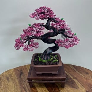Sakura (custom)