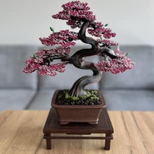 Sakura (custom)