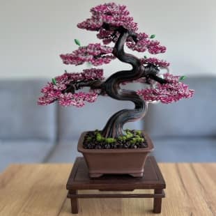 Sakura (custom)