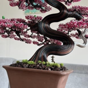 Sakura (custom)