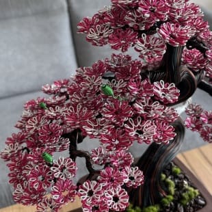 Sakura (custom)