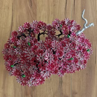 Sakura (custom)