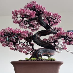 Sakura (custom)