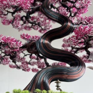 Sakura (custom)