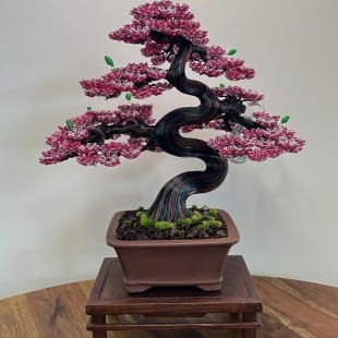 Sakura (custom)