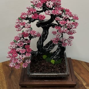 Sakura II.