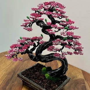 Sakura II.