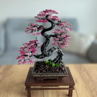 Sakura II.