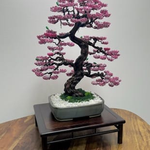 Sakura III.