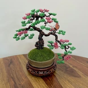 Sakura Semi-cascade