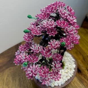 Sakura Shohin
