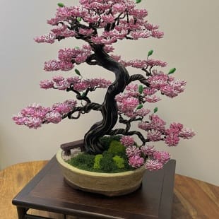 Sakura