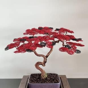 Shohin Bark IV.