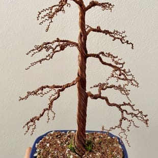 Shohin Gravel-alu Larch I.