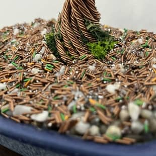 Shohin Gravel-alu Larch I.