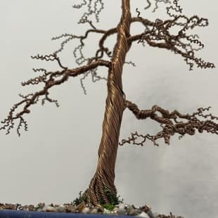 Shohin Gravel-alu Larch I.