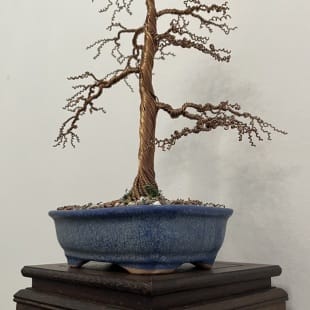 Shohin Gravel-alu Larch I.