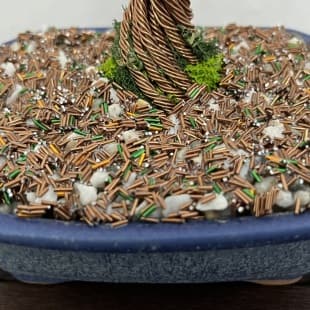 Shohin Gravel-alu Larch I.